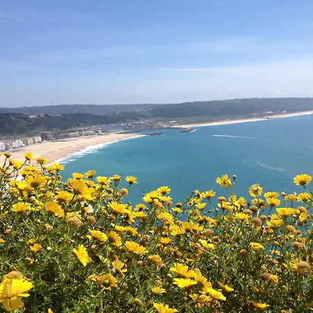 33 Silver Coast 빌라 Nadadouro