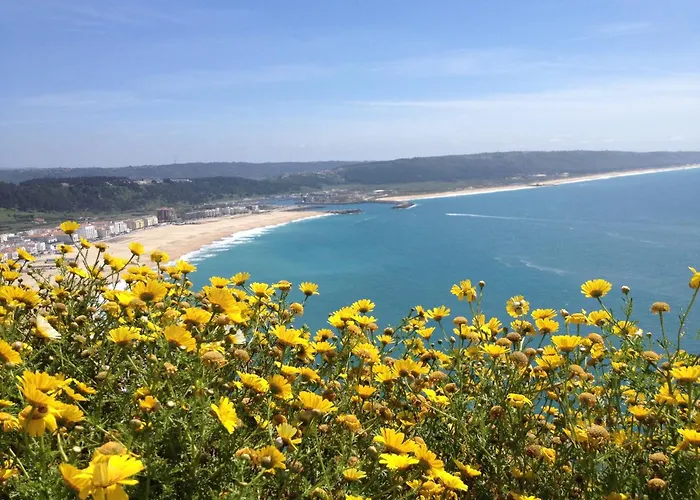 33 Silver Coast Villa Nadadouro